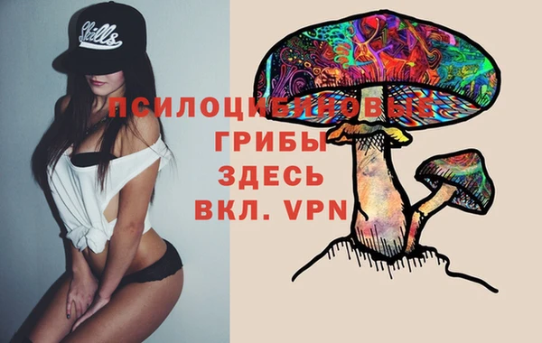 амф Абдулино