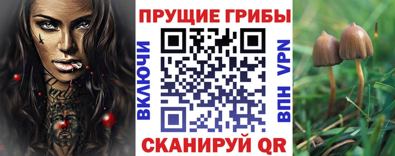 как найти наркотики  Порхов  Псилоцибиновые грибы ЛСД 